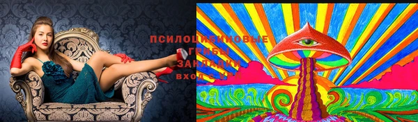 синтетический гашиш Белая Холуница