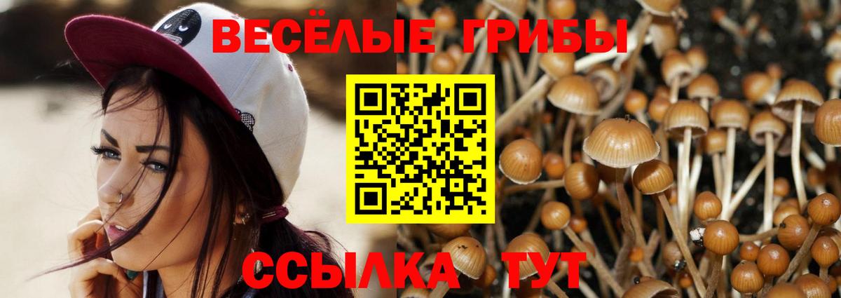 Горячий Ключ  Псилоцибиновые грибы Cubensis  Вход с VPN 